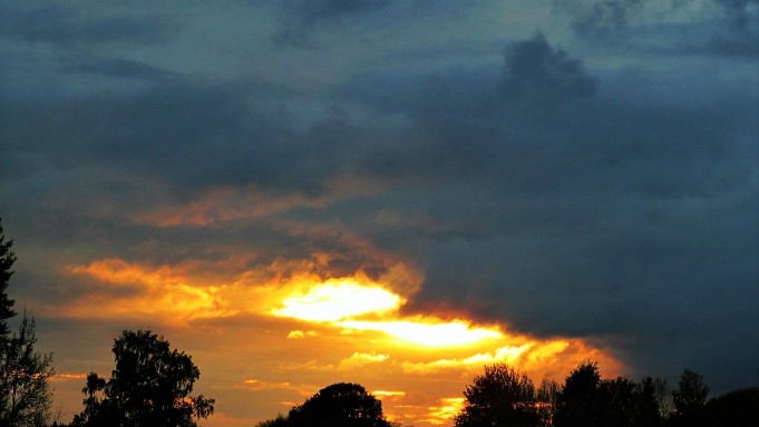 DAM ja B & W .... 1200 .....jpg