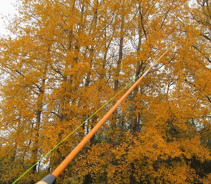 MAG 1 ---- 40 ----.jpg