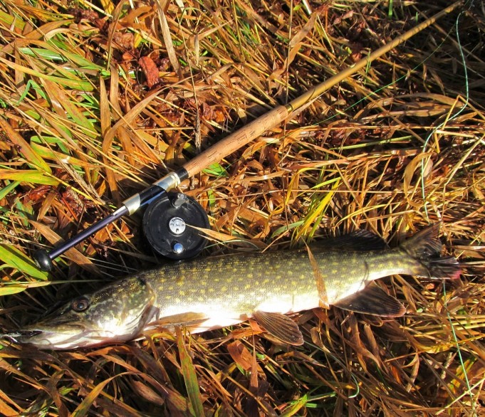 3 M ---- 100 ----.jpg