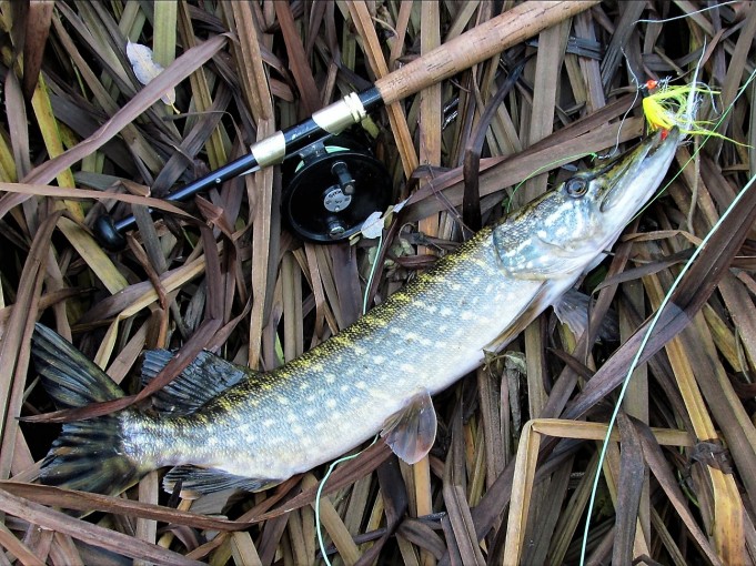 3 M ---- 800 ----.jpg