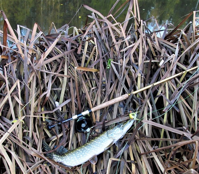 3 M ---- 900 ----.jpg