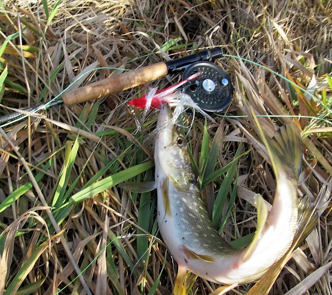 2 x Orvis ---- 10 ----.jpg