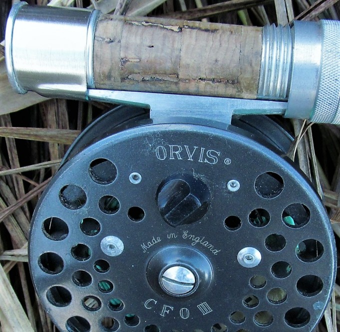 Orvissärkiä .... 600 .....jpg