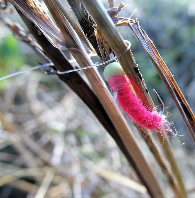 lasikuitusärkiä .... 600 .....jpg