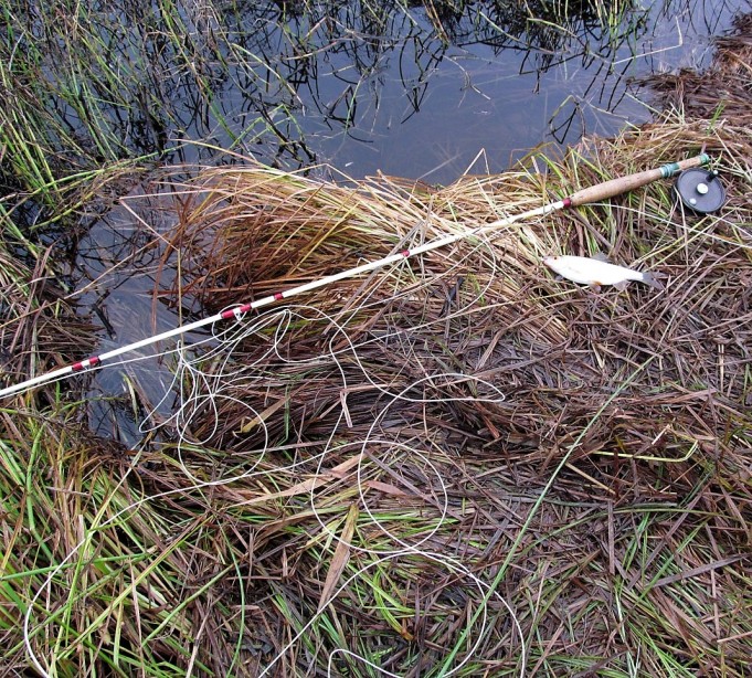 valkoista, mustaa ja hopeaa .... 10 .....jpg