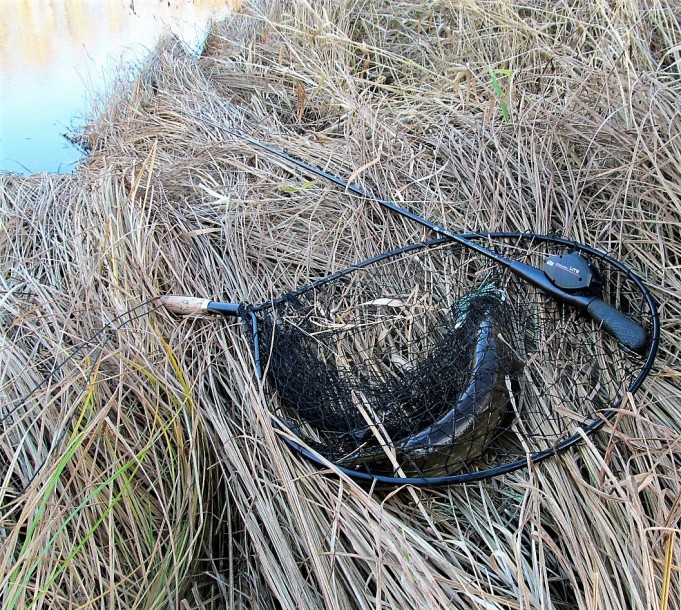 Lite .... 10 .....jpg