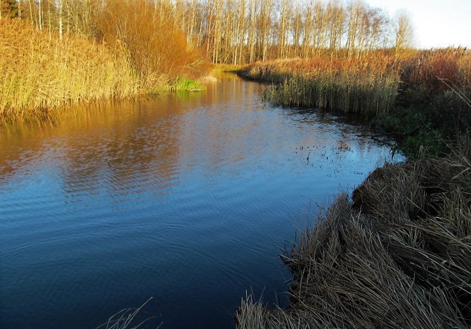 Lite .... 90 .....jpg