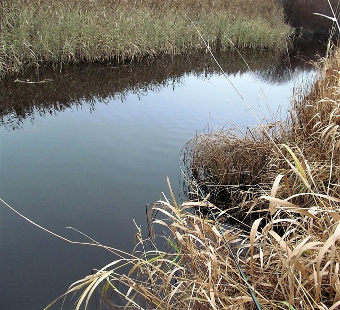 Offset ---- 30 ----.jpg