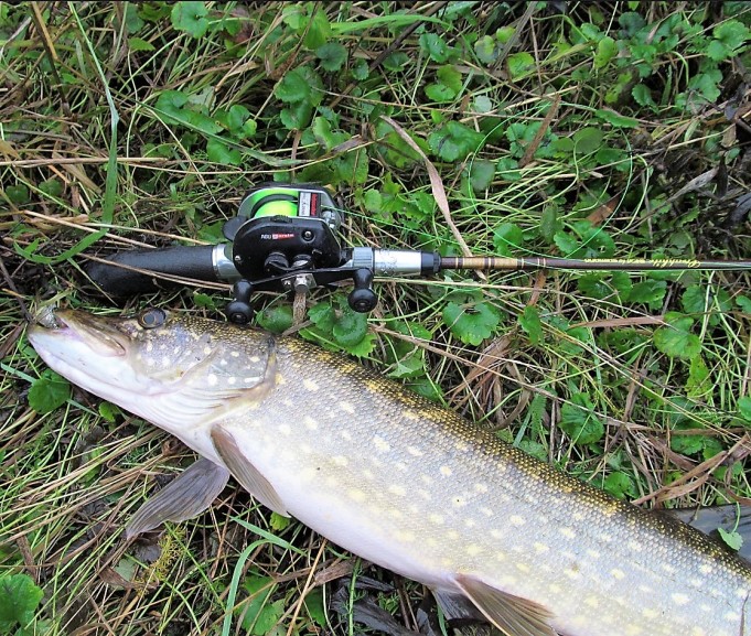 Shimano ja ABU ---- 100 ----.jpg