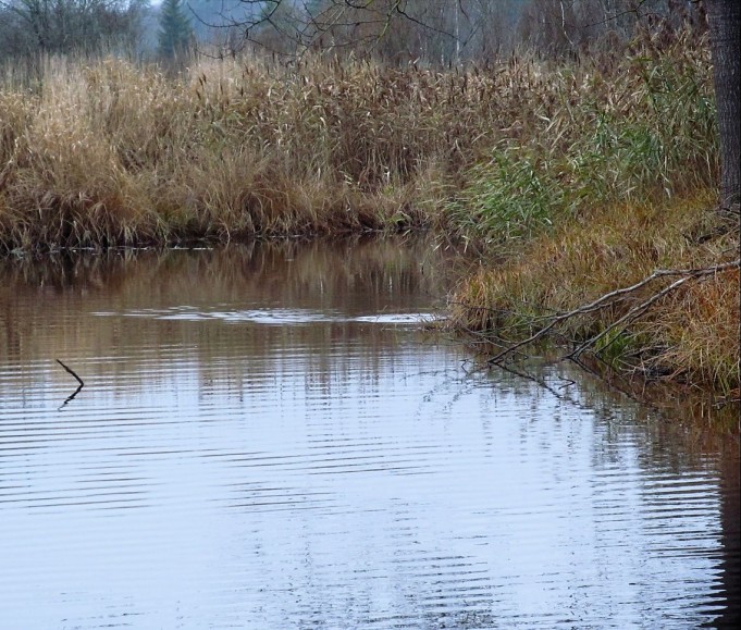 Shimano ja ABU ---- 400 ----.jpg