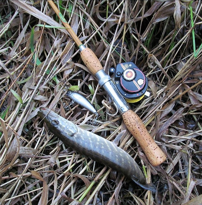 Agir ---- 100 ----.jpg