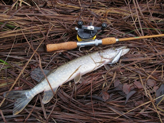 Agir ---- 400 ----.jpg