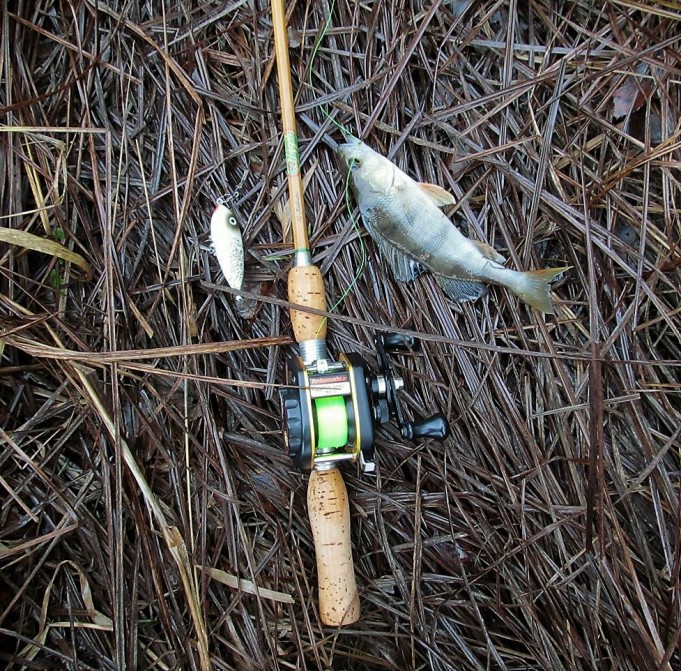 Agir ---- 600 ----.jpg