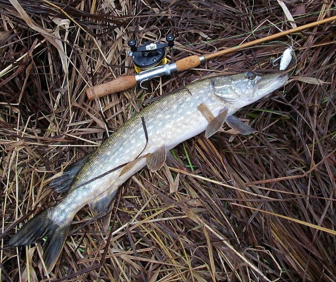 Agir ---- 700 ----.jpg