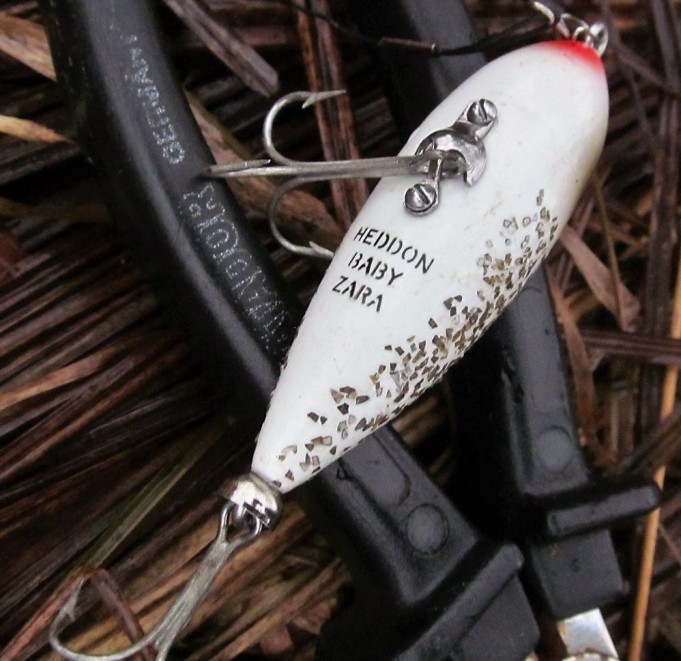 Agir ---- 800 ----.jpg