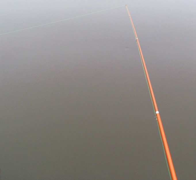 2 x Shakespeare ---- 30 ----.jpg