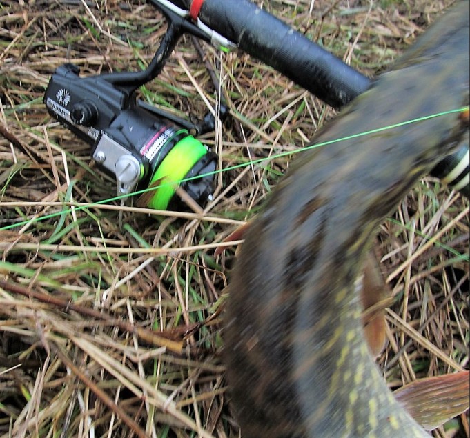 2 x Daiwa ---- 700 ----.jpg