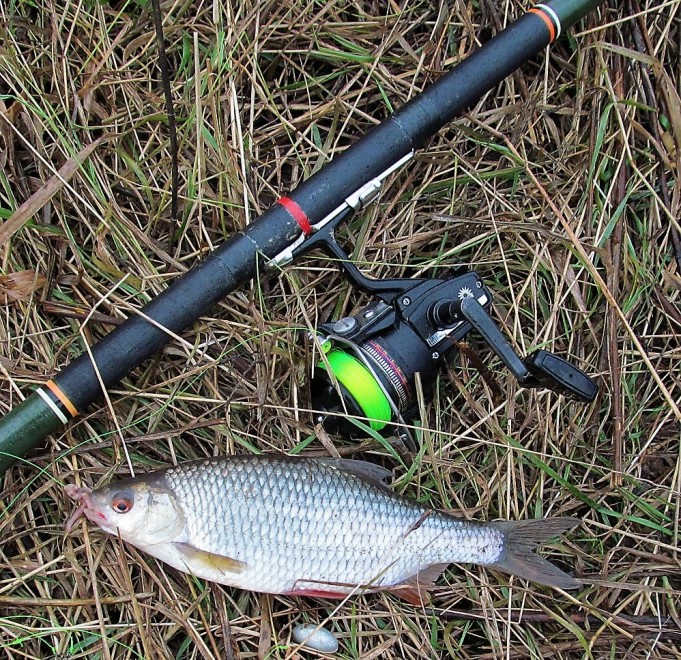 2 x Daiwa ---- 1000 ----.jpg