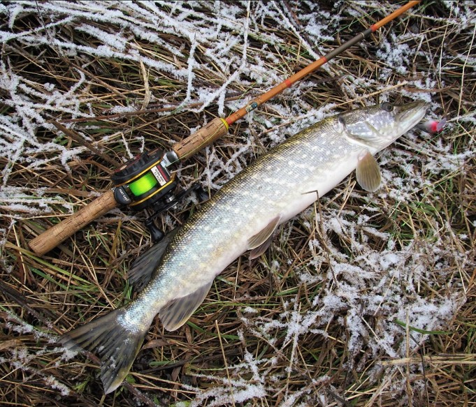 Sport ja ABU ---- 10 ----.jpg