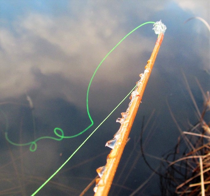 Sport ja ABU ---- 70 ----.jpg