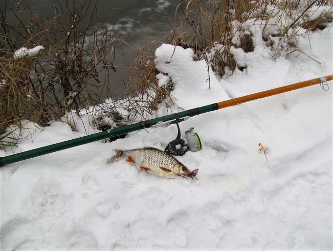 Lumiongintaa ---- 10 ----.jpg