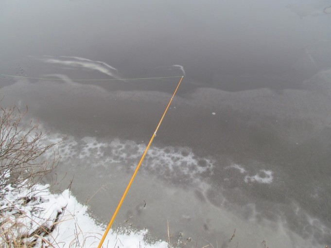 Lumiongintaa ---- 40 ----.jpg