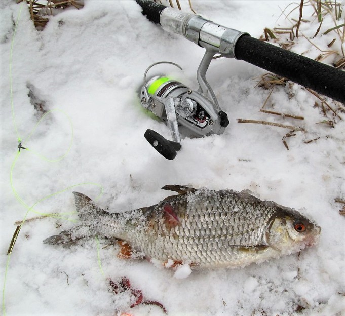 mulailua ---- 200 ----.jpg