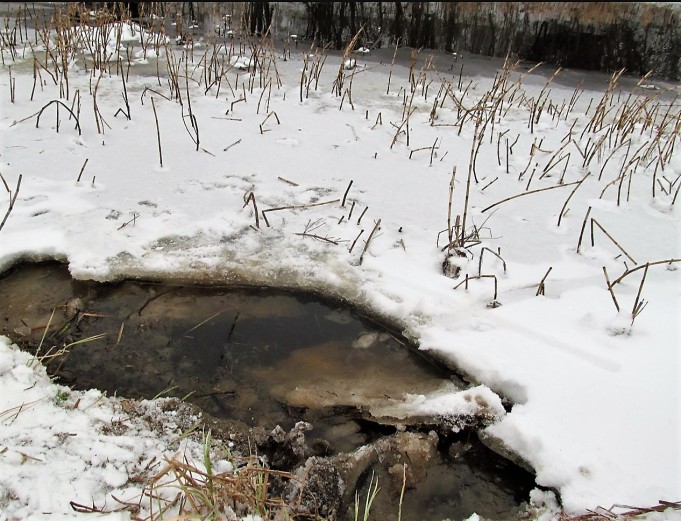 mulailua ---- 800 ----.jpg