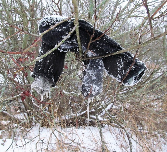 mulailua ---- 900 ----.jpg