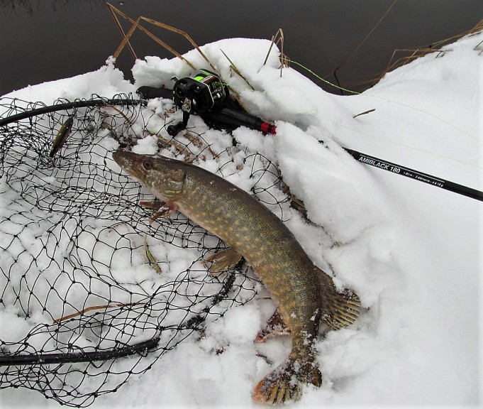 tormentor ---- 10 ----.jpg