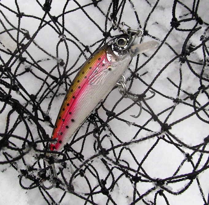 tormentor ---- 30 ----.jpg