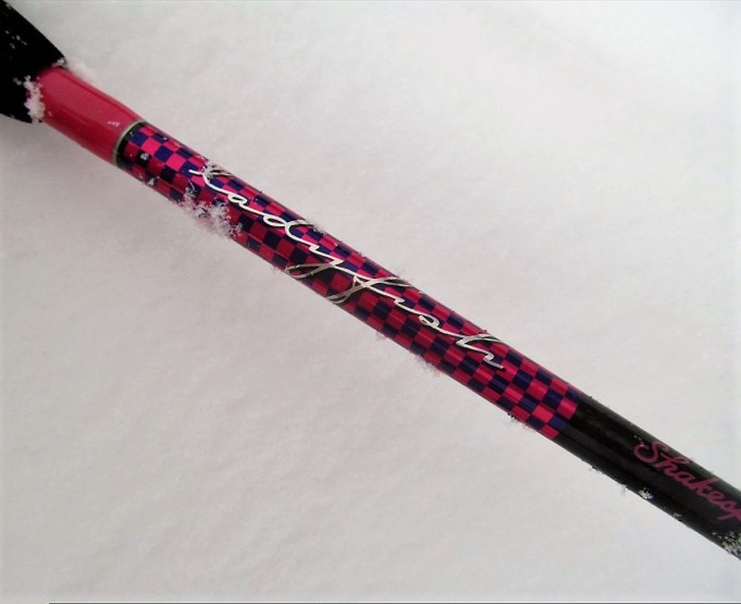 tormentor osa kaksi ---- 700 ----.jpg