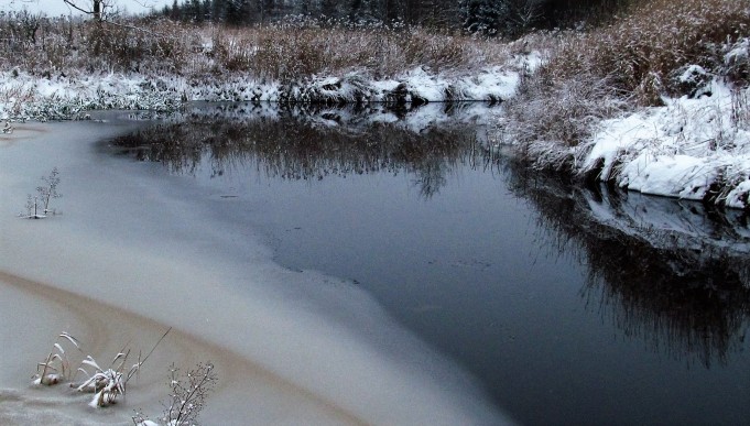 tormentor osa kaksi ---- 1000 ----.jpg