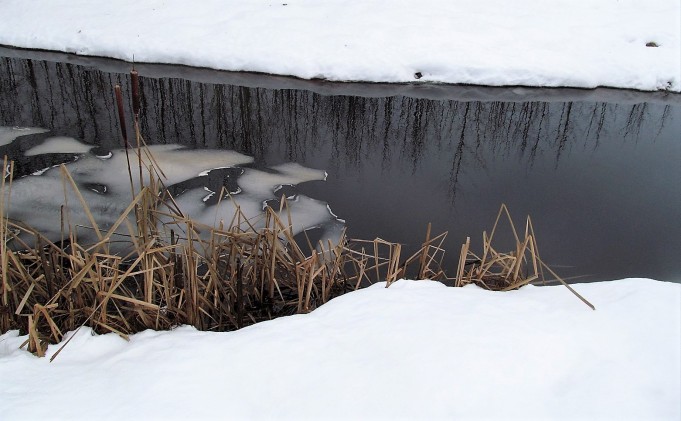 kalatonta .... 30 .....jpg