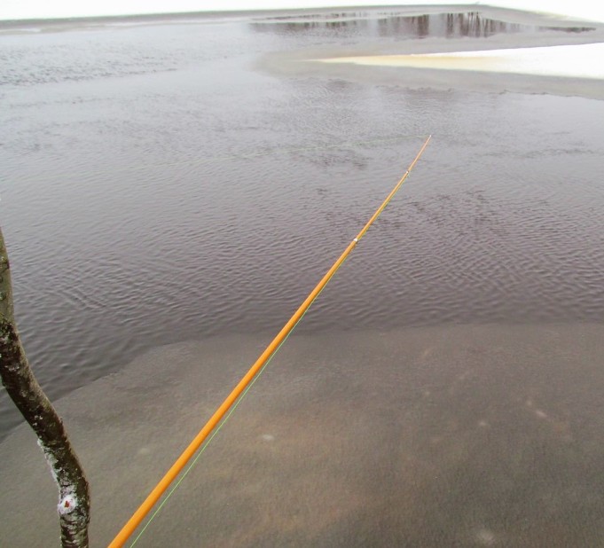 tammikuun onkisärki ---- 40 ----.jpg