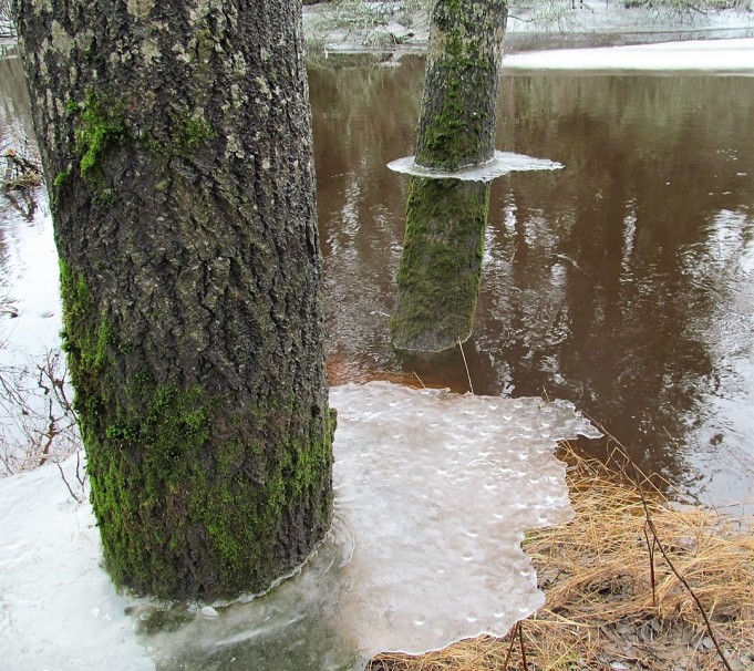 tammikuun abut ---- 10 ----.jpg