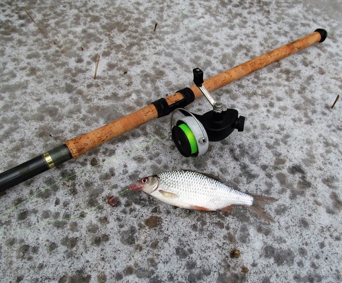 tammikuun abut ---- 20 ----.jpg