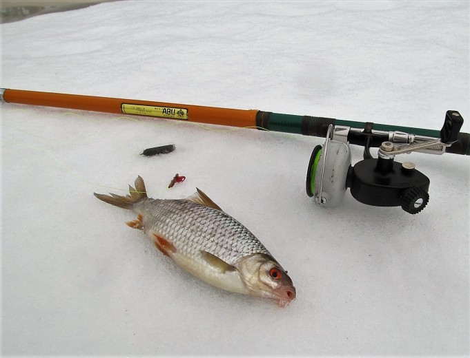 Pohjaongella ---- 20 ----.jpg