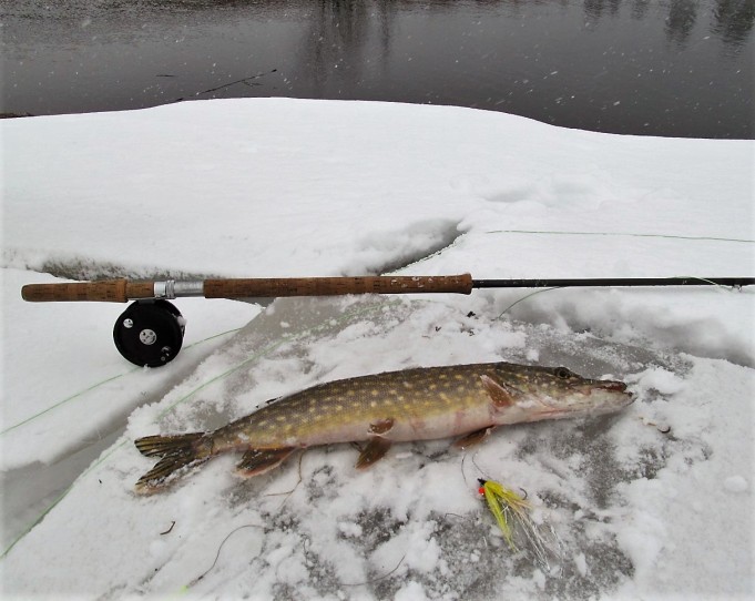 tänään joella ---- 10 ----.jpg