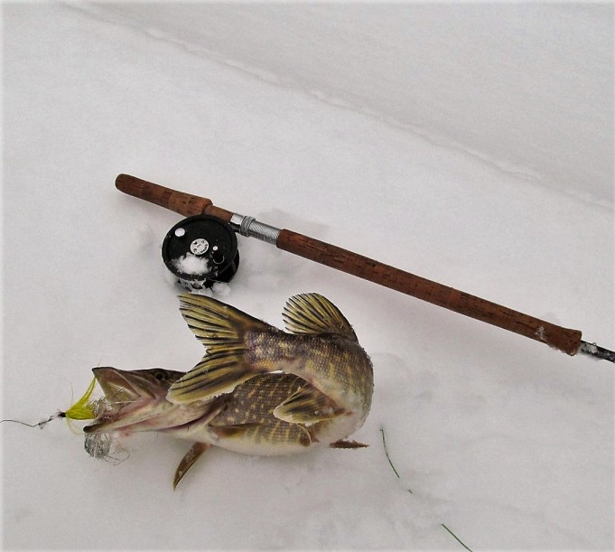 tänään joella ---- 40 ----.jpg