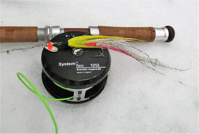 Yläleuka ---- 40 ----.jpg