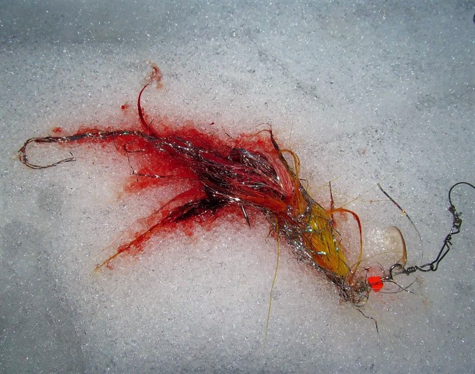 Yläleuka ---- 80 ----  .jpg