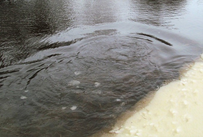 helmikuun tapaaminen ---- 40 ----.jpg