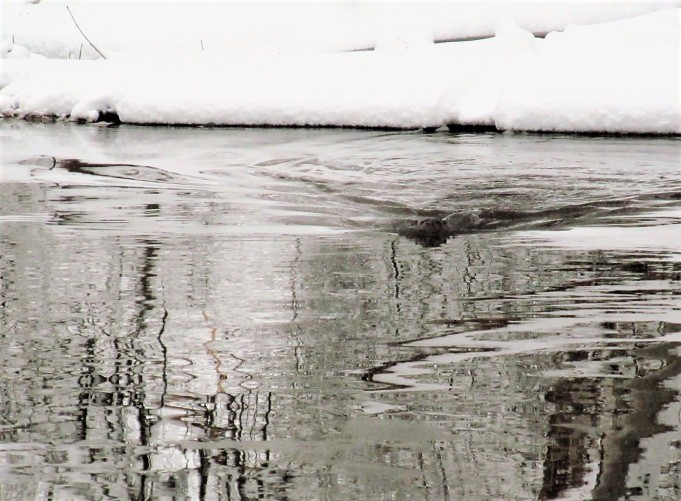 kalastaja ---- 20 ----.jpg