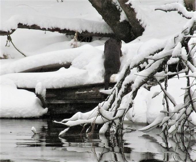 kalastaja ---- 30----.jpg