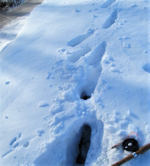 V - P .... 20 .....jpg