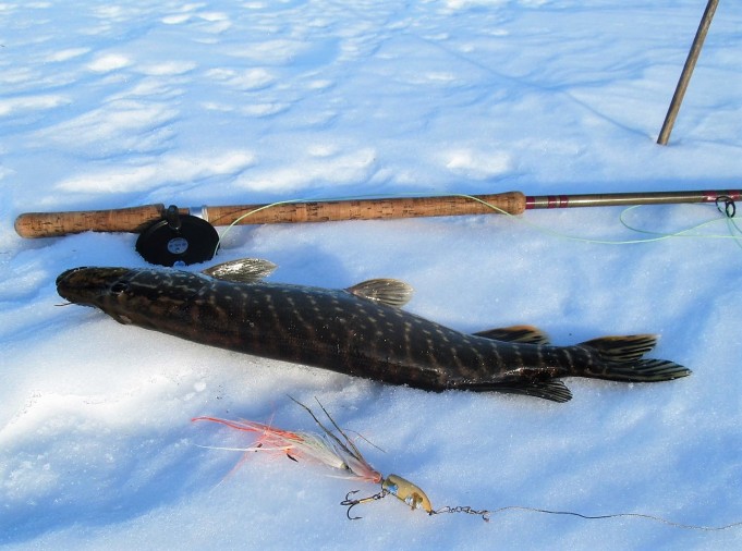 V - P .... 10 .....jpg