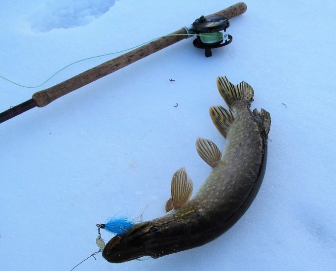 V - P .... 60 .....jpg