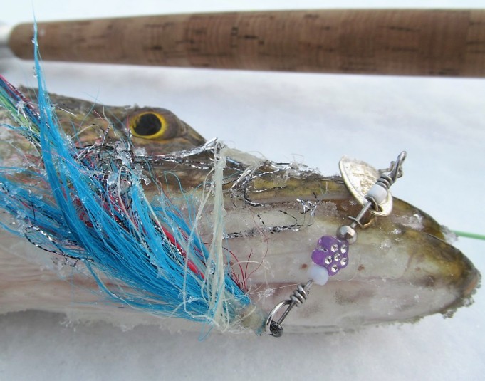 hangella haukia ---- 20 ----.jpg