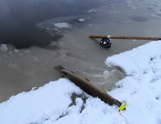 valossa ja pimeällä ---- 10 ----.jpg